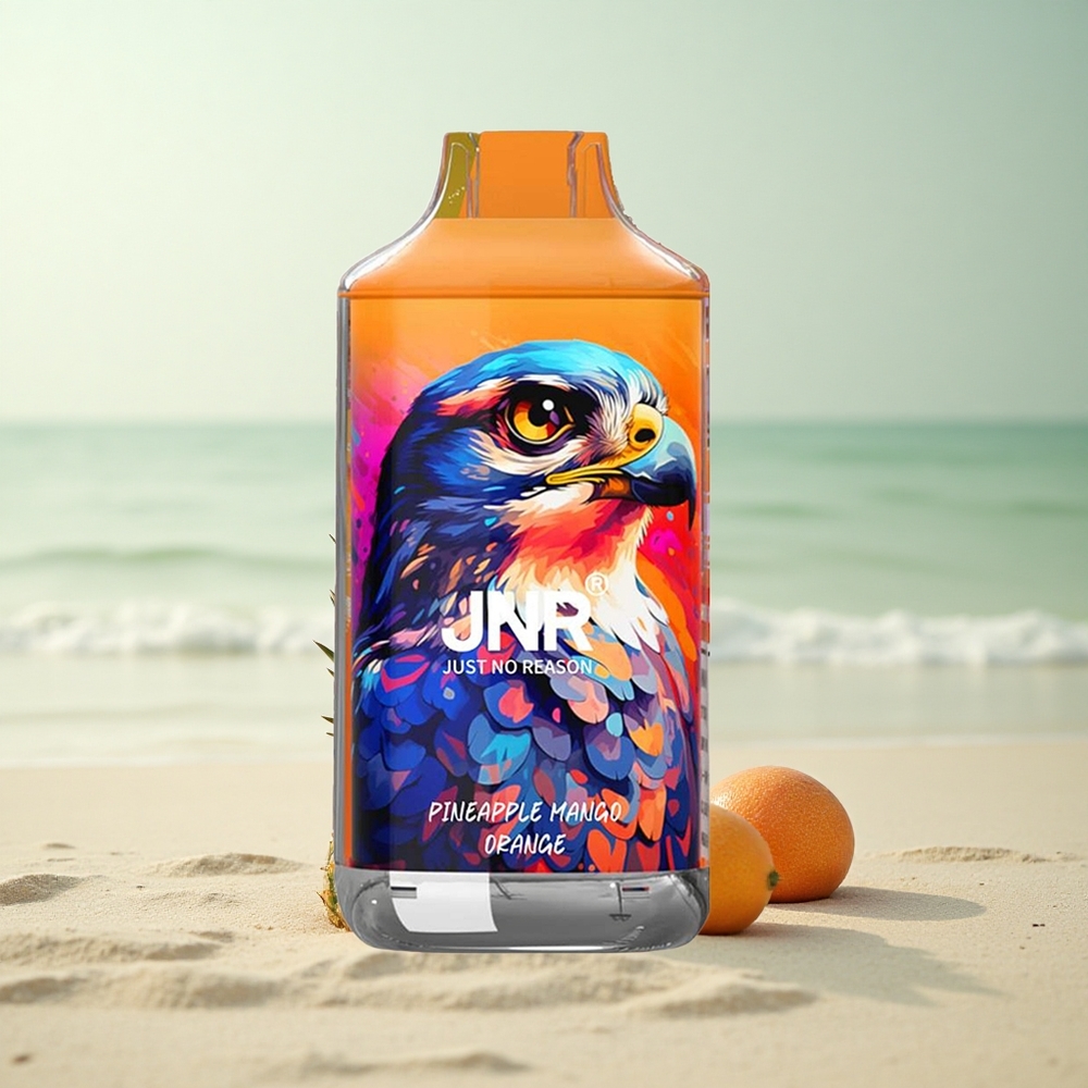 JNR Falcon 16000 Ananas Mango Appelsiini 850 mAh Type C Dual Mesh