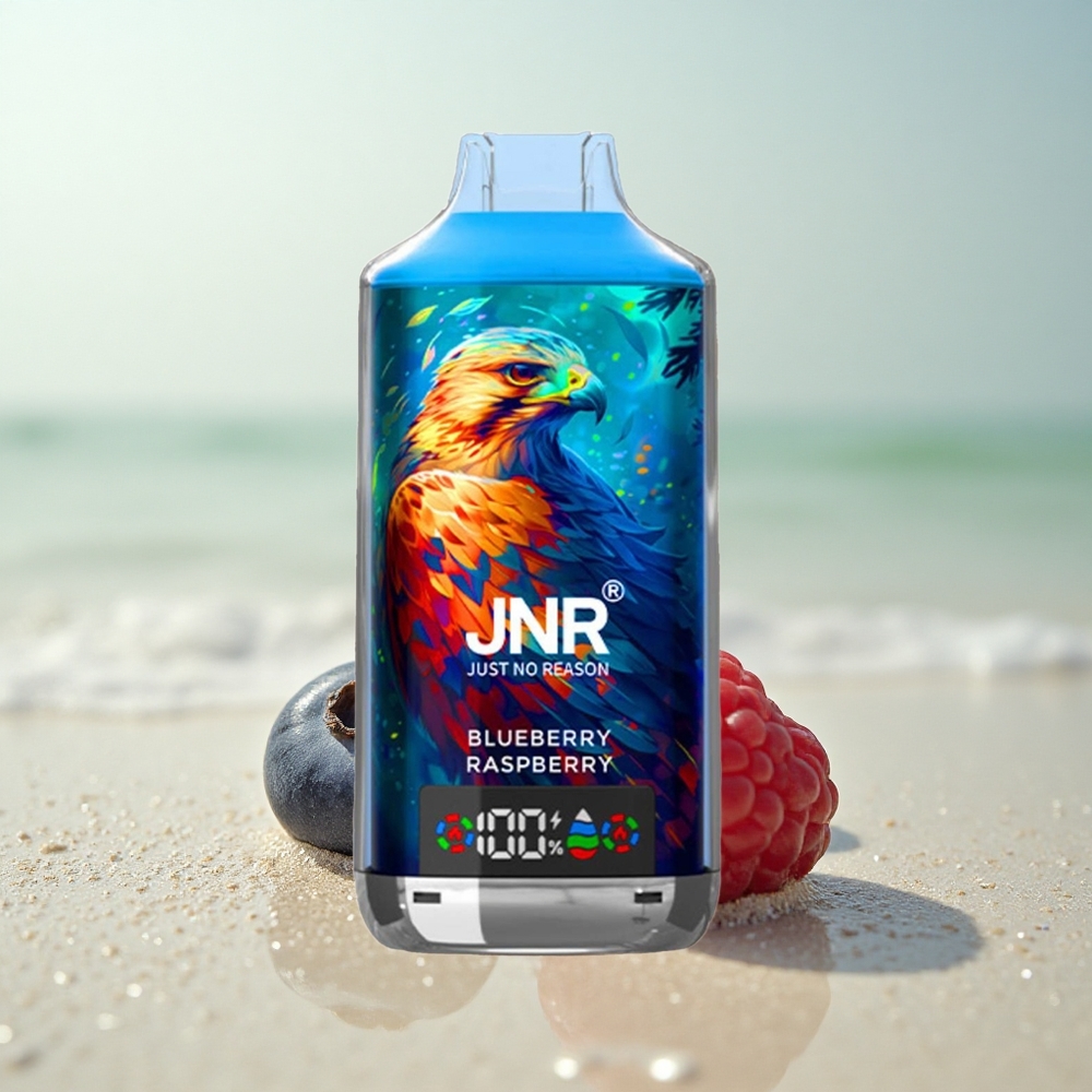 JNR Falcon X 18000 Mustikka Vadelma 750mAh Type-C Nikkeli 0%