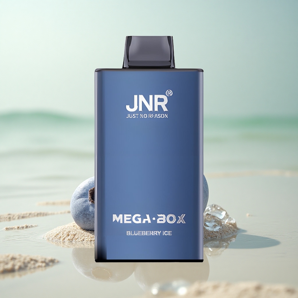 JNR Mega Box 25000 Mustikkajää 30ml 850mAh Type-C