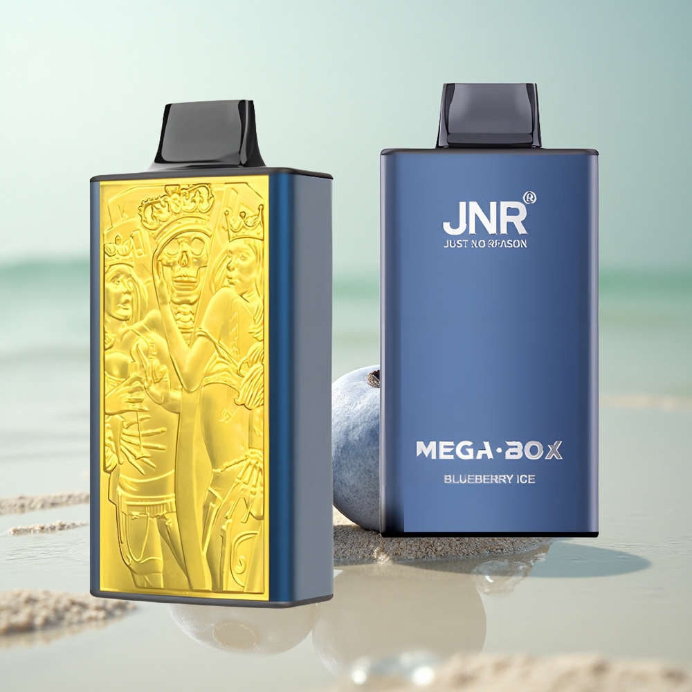 JNR Mega Box 25000 Mustikkajää 30ml 850mAh Type-C