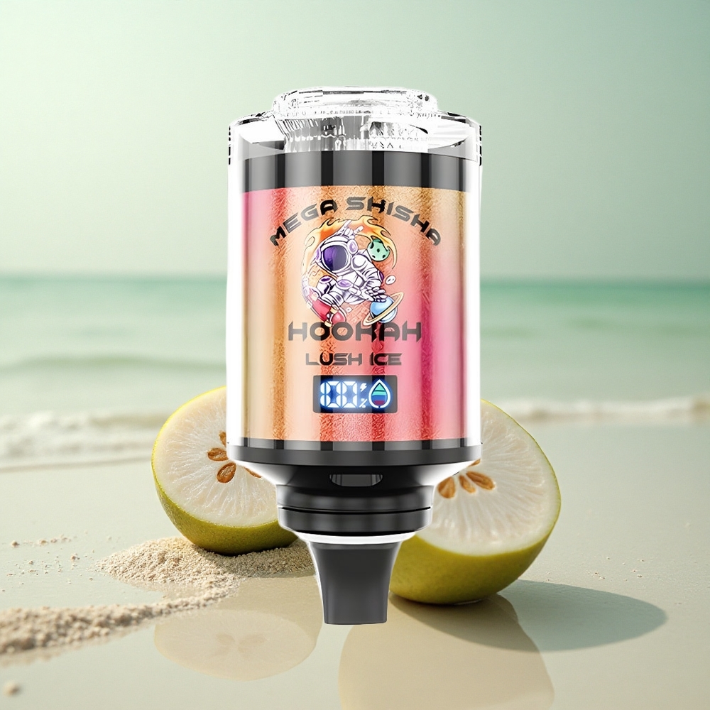 JNR Mega Shisha Hookah 100K Jäätynyt Tuuli 2200mAh Type-C Virtaus