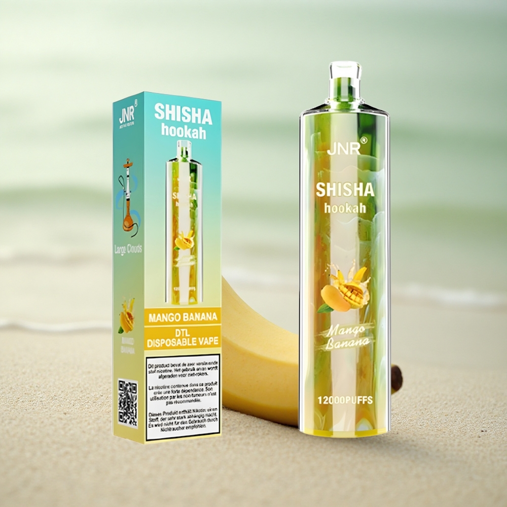 JNR Shisha Hookah 12000 Mango Banaani 24ml 750mAh Type-C