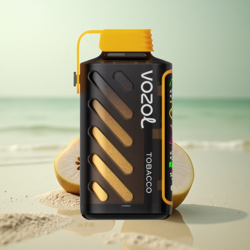 VOZOL Gear Power 20000 Puffs Savutehna Kaksoisverkko Näyttö 20ml