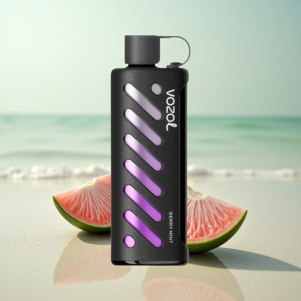 VOZOL Gear Shisha 25000 Puffs Marja Minttu Kaksoishäkkitekniikka 1000mAh