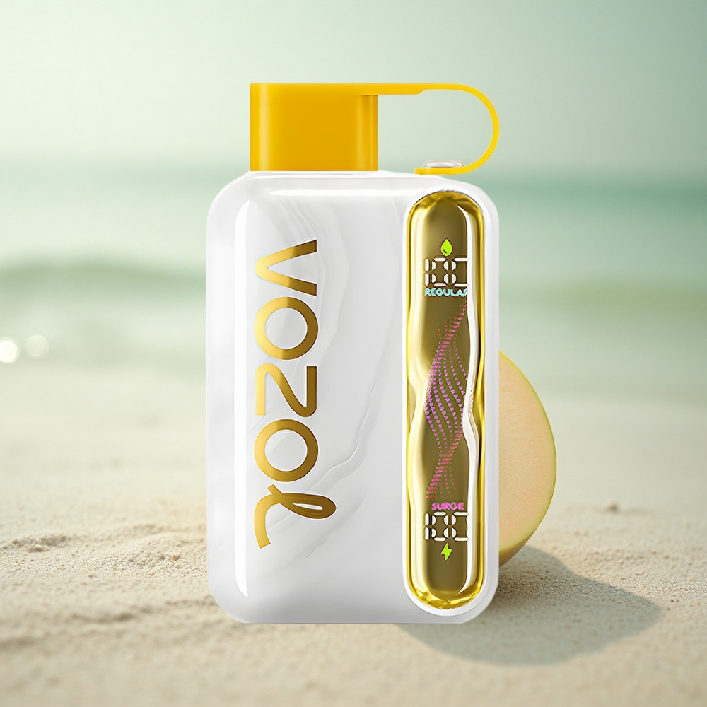 VOZOL STAR 40000 Puffs Mango Jää 1000mAh Type-C 20/50mg/ml