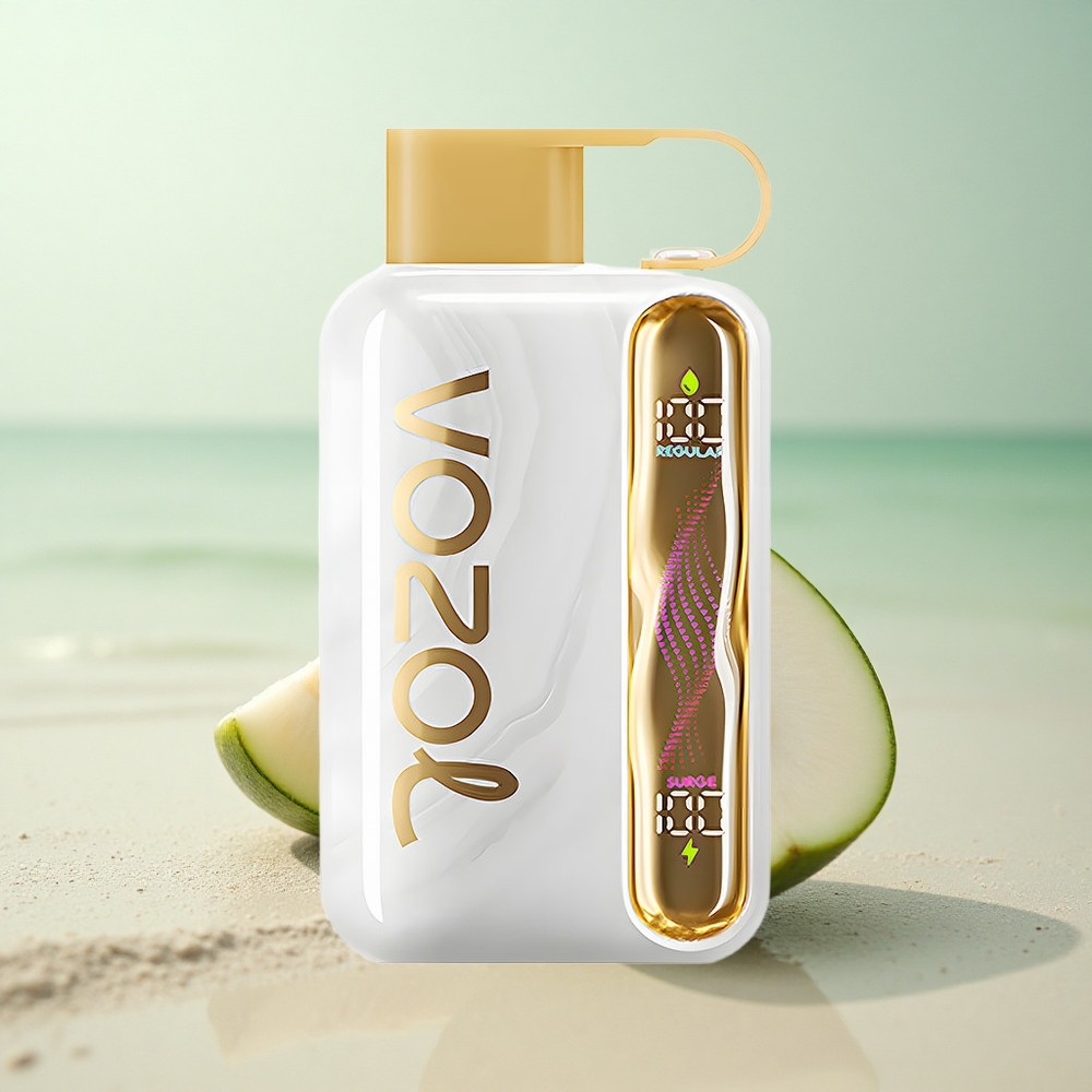 VOZOL STAR 40000 Puffs Melon Gum 1000mAh 20/50mg/ml Type-C