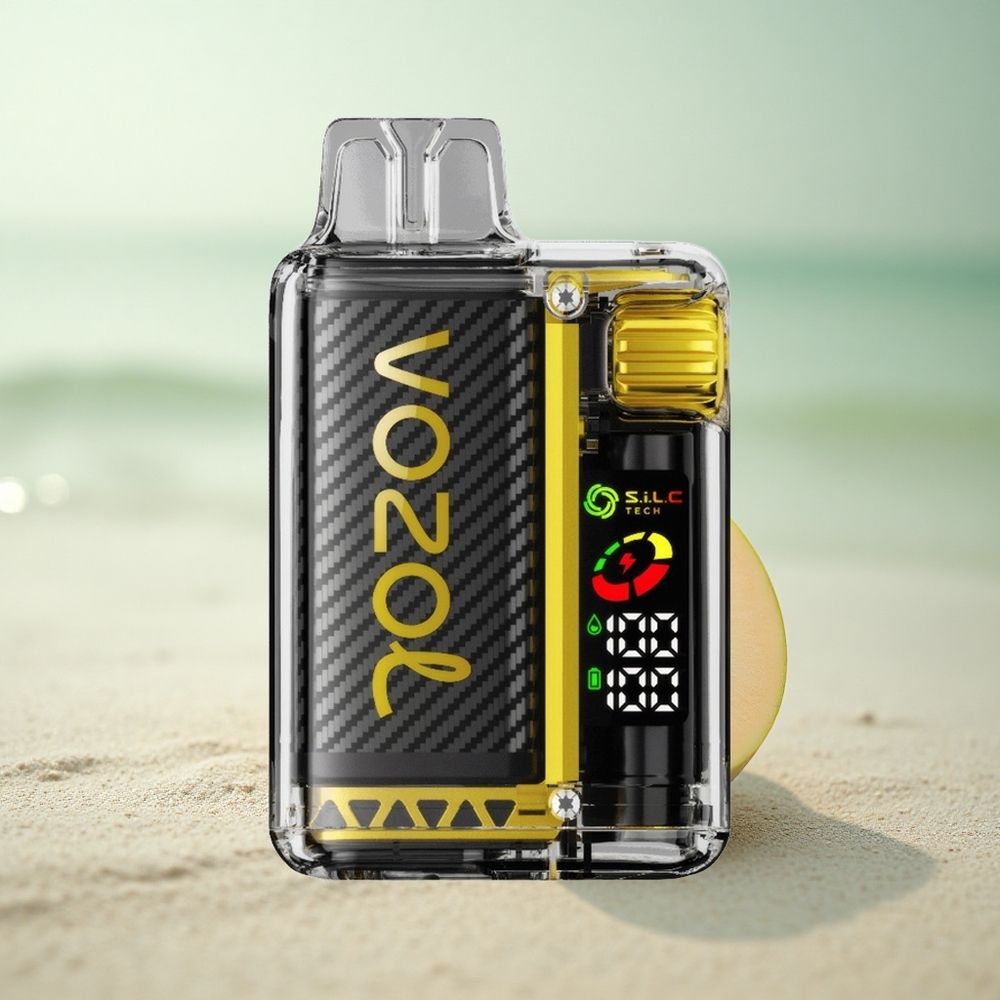 VOZOL Vista 20000 Puffs Mango Jää 650mAh Uudelleenladattava S.i.L.C Tech