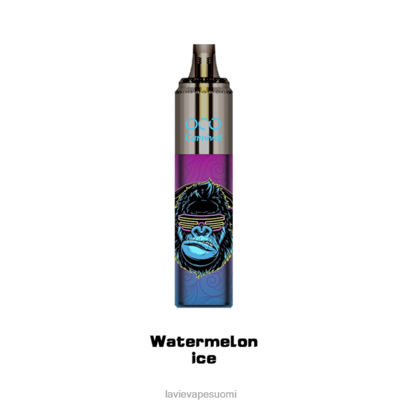 vesimeloni jäätä